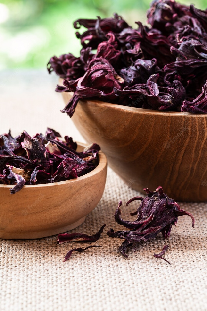 hibiscus.jpeg