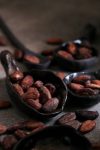 ΚΑΚΑΟ ΚΑΡΠΟΙ - COCOA BEANS