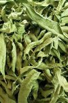 ΛΟΥΙΖΑ - LEMON VERBENA