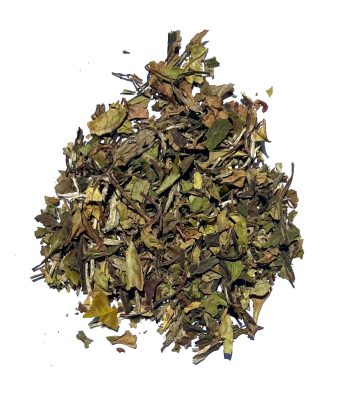 ΛΕΥΚΟ ΤΣΑΙ - WHITE TEA