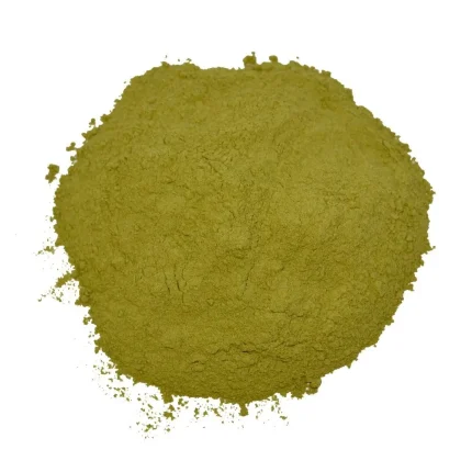 MORINGA ΣΚΟΝΗ