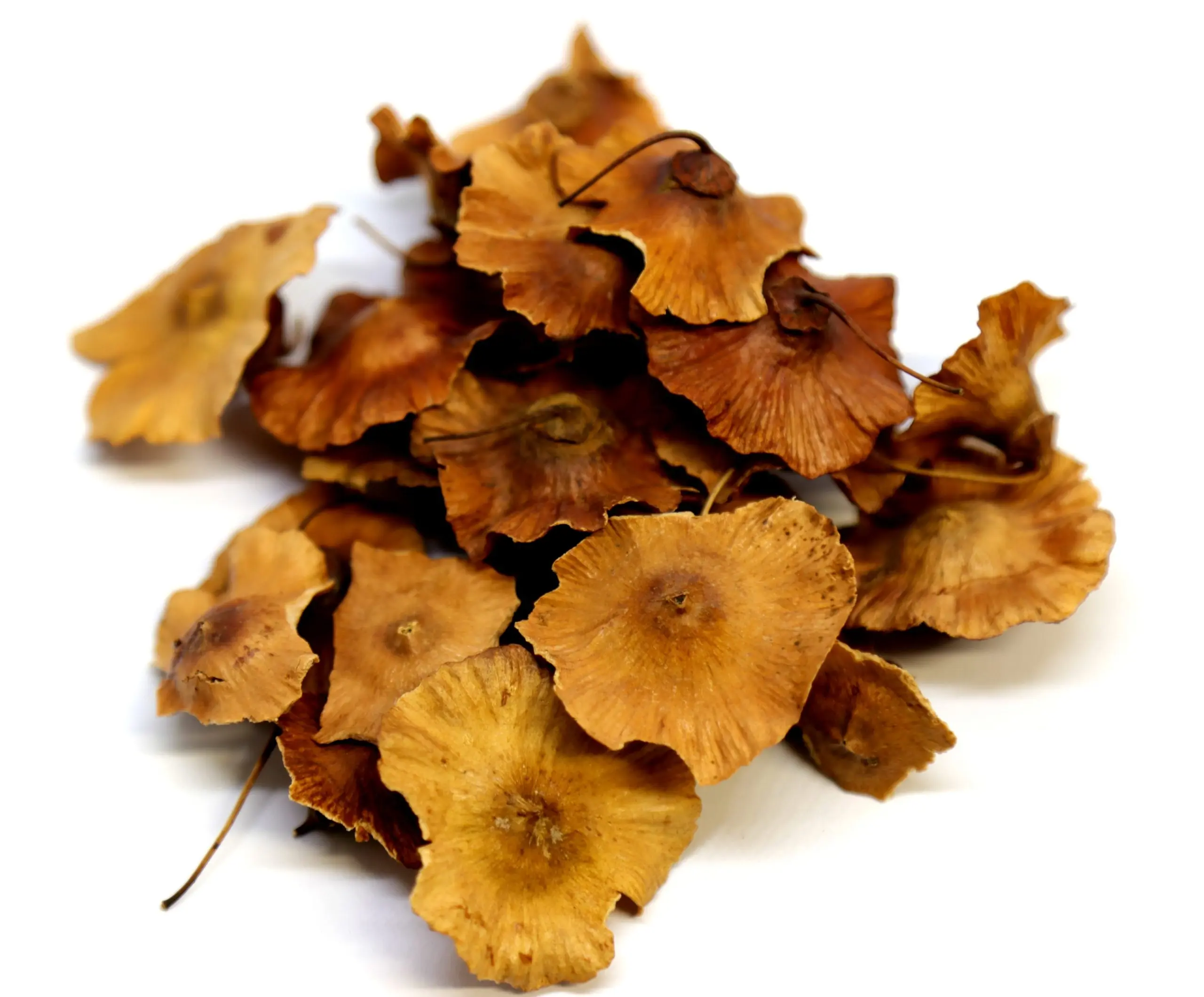 paliouro-scaled-1.webp ΠΑΛΙΟΥΡO - Image 1