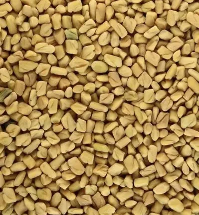 ΤΡΙΓΩΝΕΛΛΑ ΣΠΥΡΙ (FENUGREEK SEED)