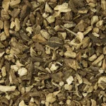 ΑΓΓΕΛΙΚΗ ( ANGELICA )