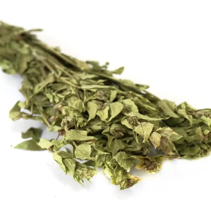 ΤΣΑΙ ΠΡΑΣΙΝΟ ΒΟΥΝΟΥ