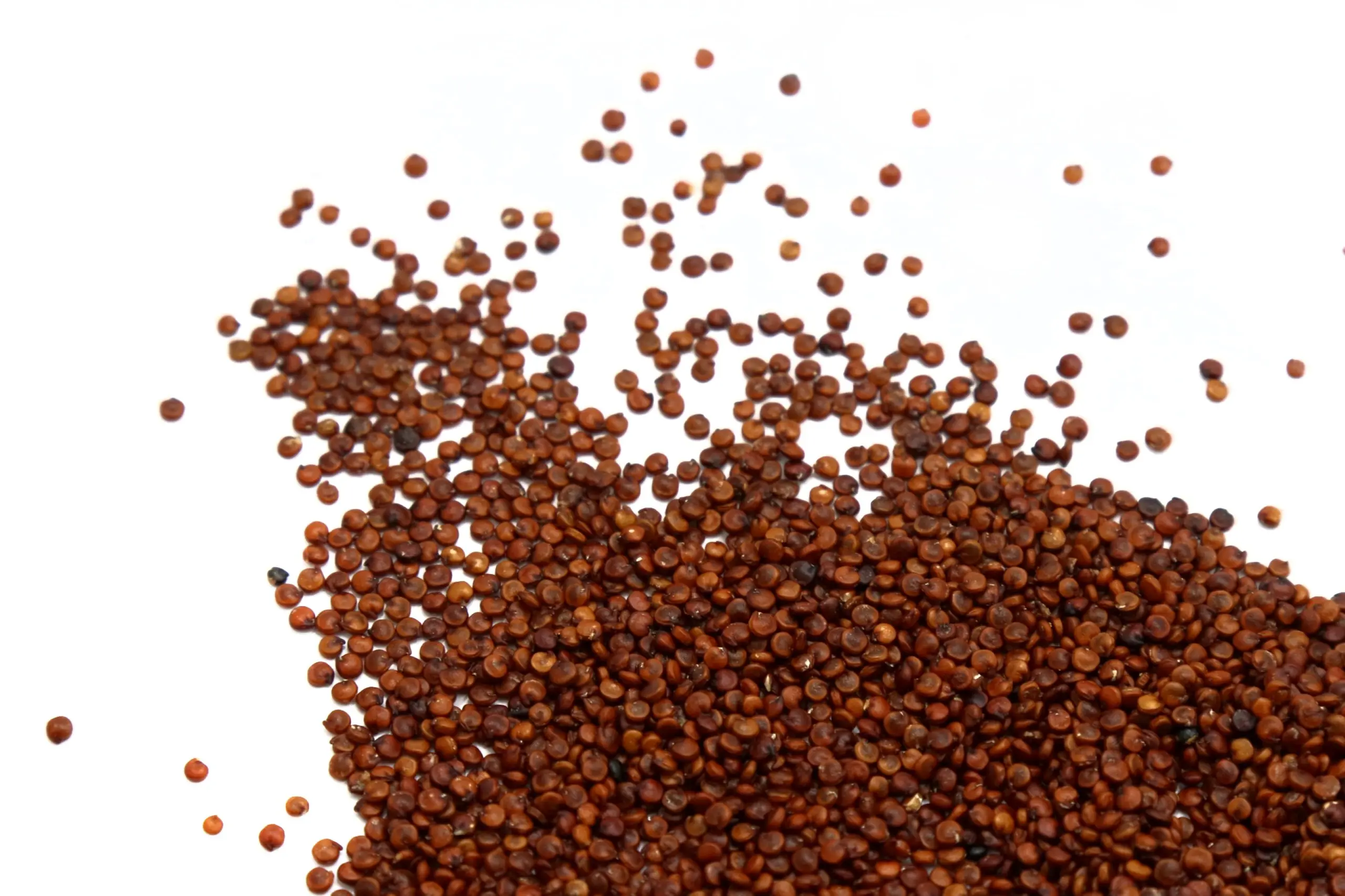 κοκκινη-scaled-1.webp ΚΙΝΟΑ ΚΟΚΚΙΝΗ - Image 1