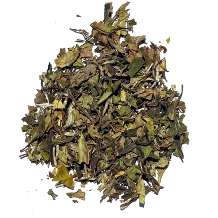 ΛΕΥΚΟ ΤΣΑΙ - WHITE TEA